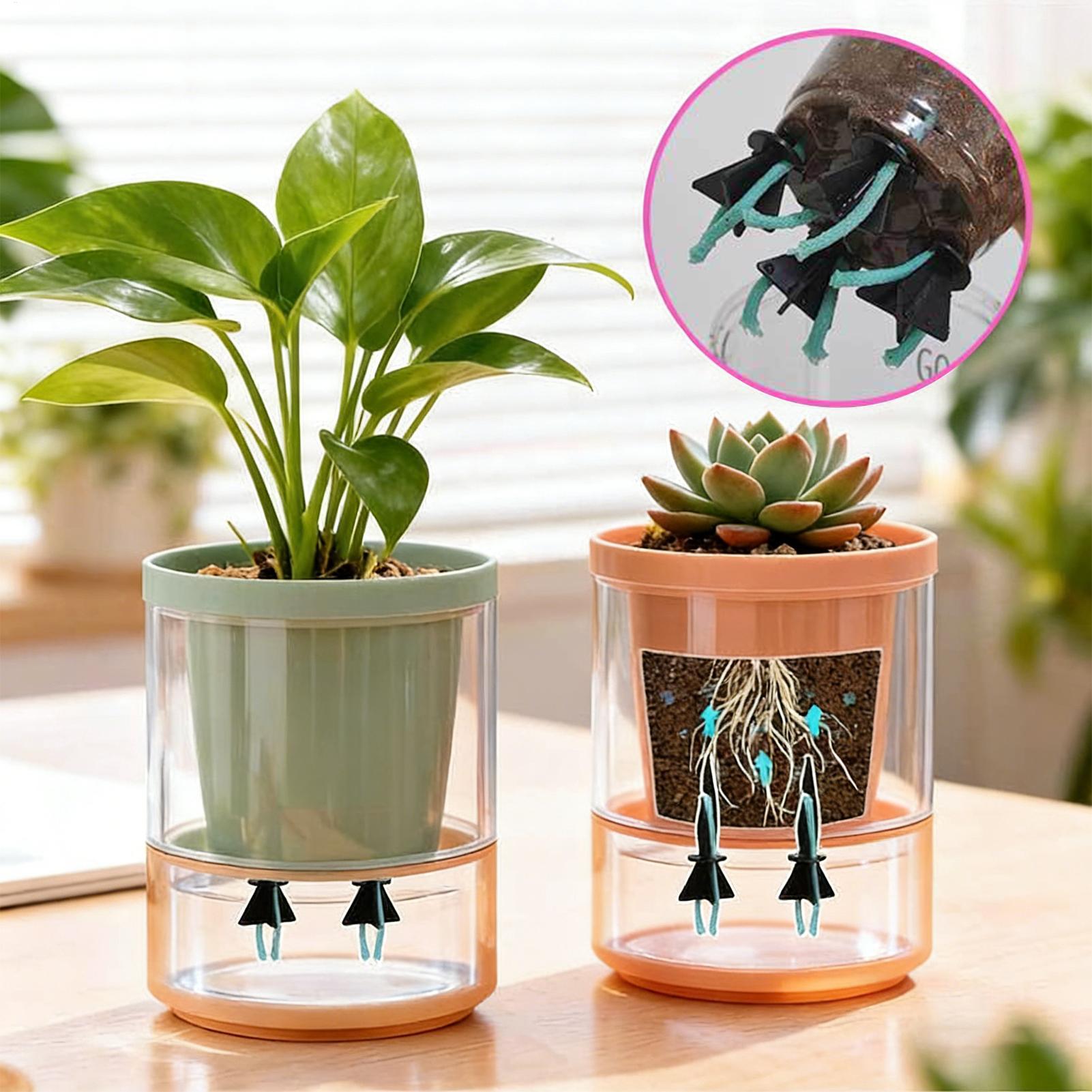 Selbstbewässernde Pflanzgefäße – Self Watering Insert Bewertung und Preis