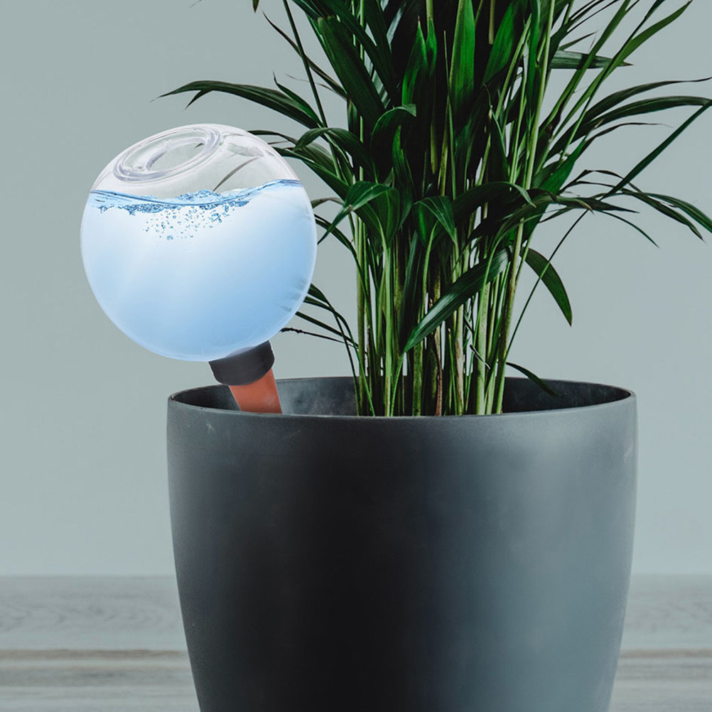 3-teiliges Bewässerungssystem  – Self Watering Insert Bewertung und Preis