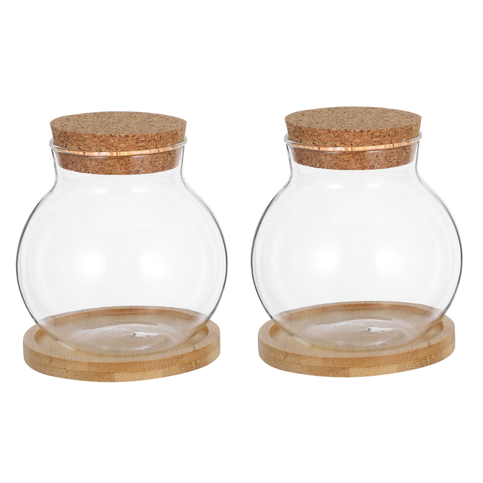 2er-Set Hydroponische Glasvase – Propagation Station Vase Bewertung und Preis